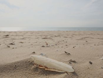 View of sandy beach against sky