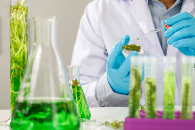 Scientist examining chemical in laboratory