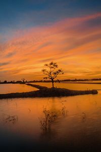 Scenic view of lake against sky during sunset