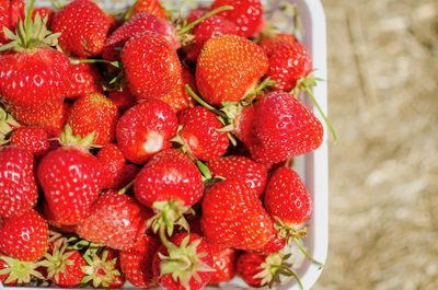 High angle view of fresh picked strawberries in a basket