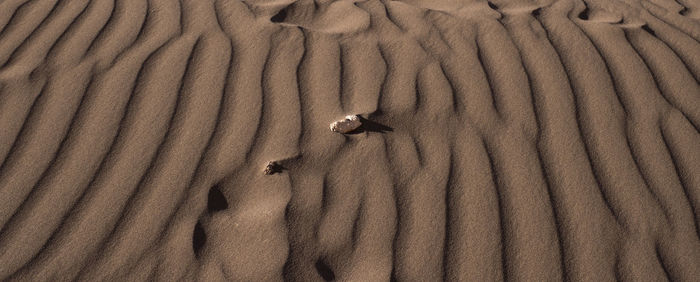 Full frame shot of sand dune