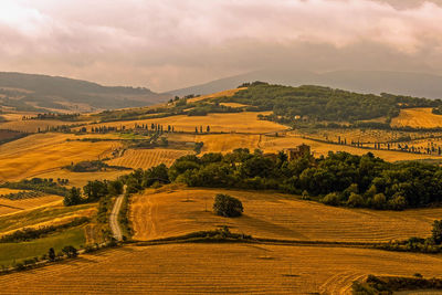 Scenic view of agricultural landscape against sky