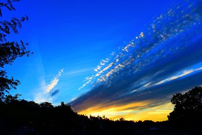 Low angle view of silhouette trees against sky during sunset