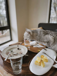 Close-up of food on table