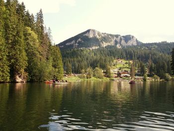 Scenic view of lake by trees against sky