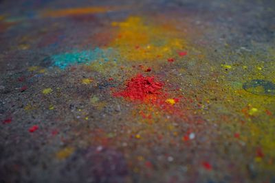 Close-up of autumn leaf