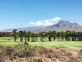 Scenic view of golf course against sky