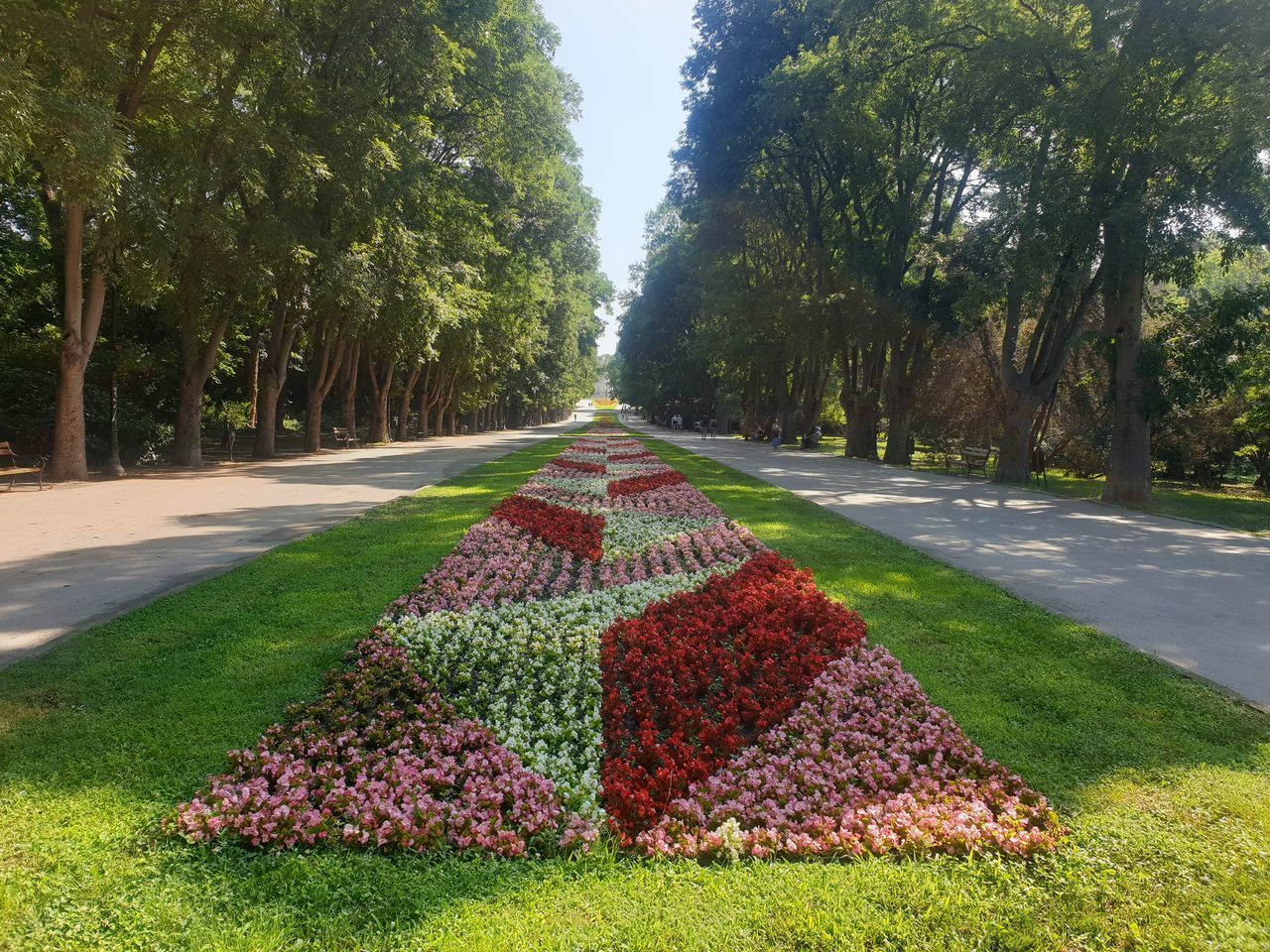 VIEW OF FLOWERING PLANTS AT PARK