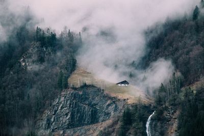 Scenic view of fog