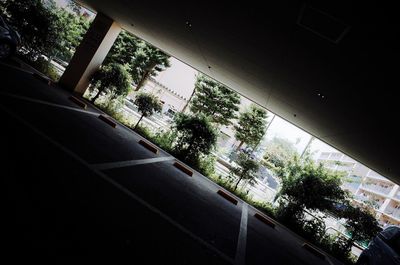 Low angle view of trees against sky