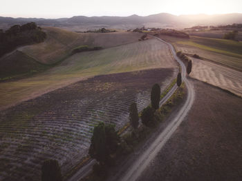 Tuscany hills and lavender