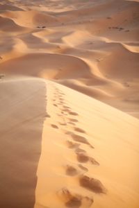 Scenic view of sandy beach