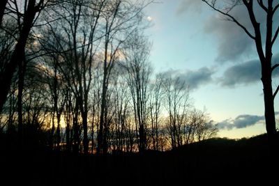 Silhouette of bare trees against sky at sunset