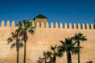 Palm trees in front of building against blue sky