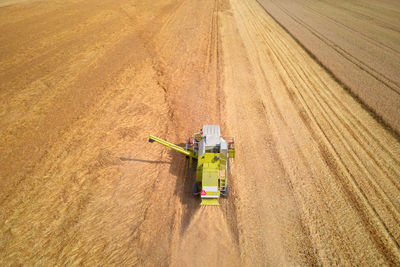 Aerial view of working harvesting combine in wheat field, harvest season