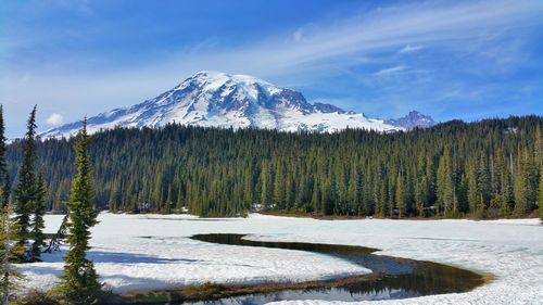 Scenic view of mount rainier against sky during winter