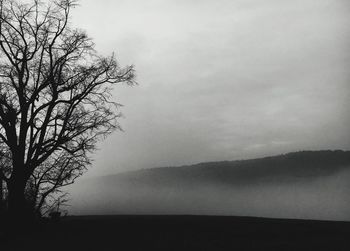 Silhouette bare tree on landscape against sky