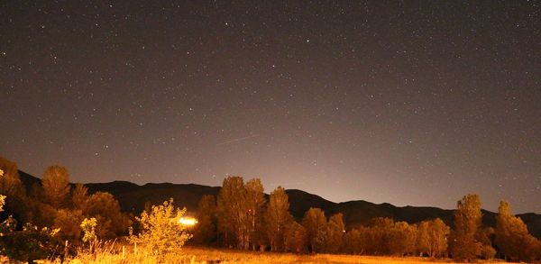 Low angle view of star field against star field