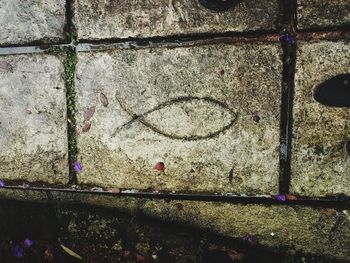 Close-up of brick wall