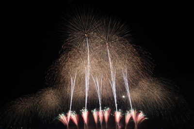 Low angle view of firework display against sky at night