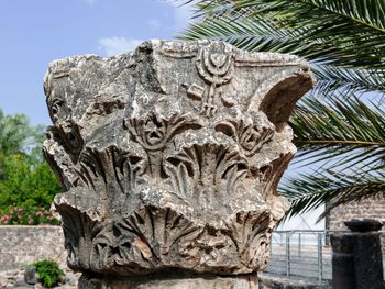 Close-up of statue of palm tree