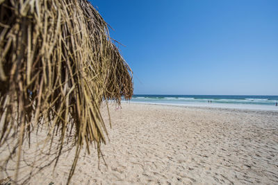 Scenic view of beach against clear sky