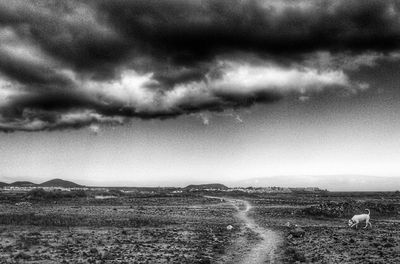 Storm clouds over landscape