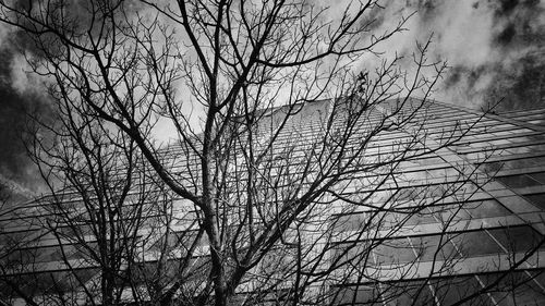 Low angle view of bare trees against sky