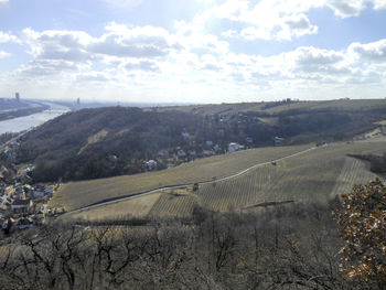 Scenic view of vineyard against sky
