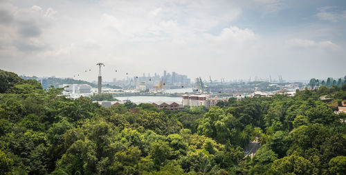 Trees and cityscape against sky