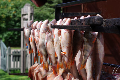 Close-up of fish for sale at market