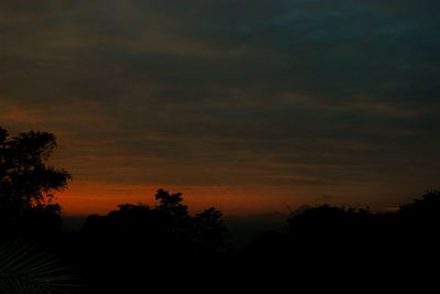 Silhouette trees against sky at sunset