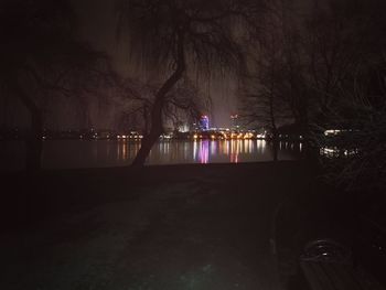 Illuminated trees by lake against sky at night