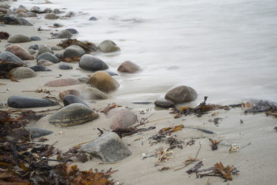 Rocks on beach