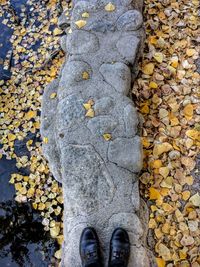 High angle view of shoes on rock