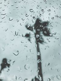 Raindrops on glass window