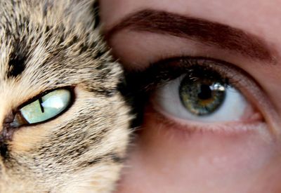 Close-up portrait of human eye