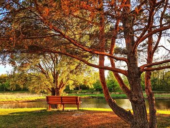 Empty bench in park during autumn