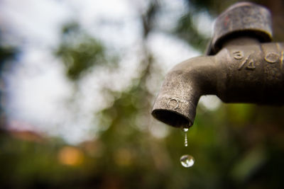 Close-up of water fountain