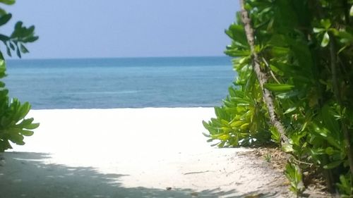 Scenic view of sea against clear sky