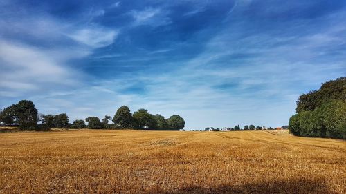 Scenic view of agricultural field against sky