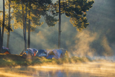 Scenic view of lake in forest during autumn