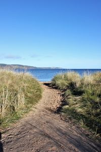 Scenic view of beach against clear blue sky