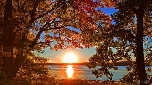 Sun shining through trees in lake during autumn