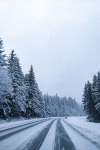 Snow covered road amidst trees against sky