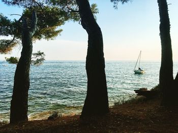 Sailboats sailing in sea against sky