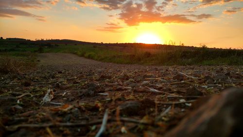 Scenic view of field against sky during sunset