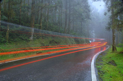 Light trails on road amidst trees in forest