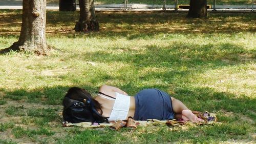 Man sitting on grassy field