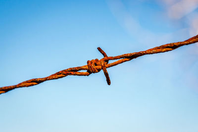 Close-up of barbed wire against blue sky